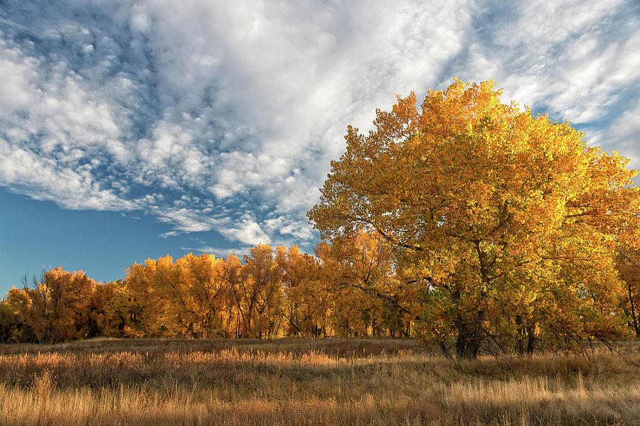 Fall Colors on the Great Plains Photograph by Tony Hake