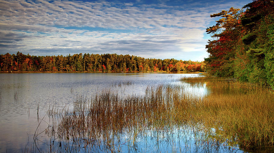 Fall Colors on the lake Photograph by Alberto Audisio