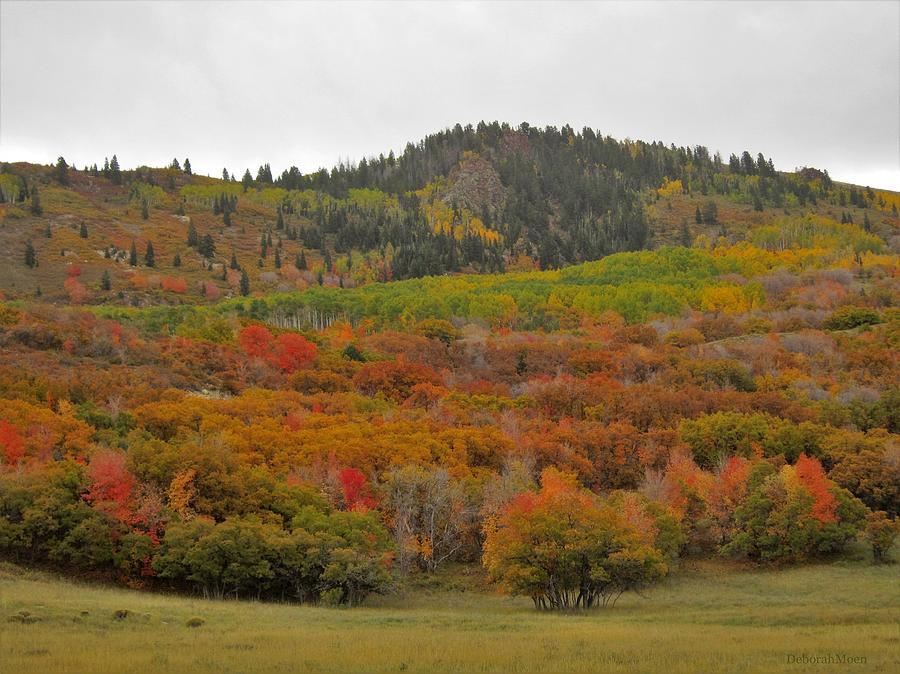Landscape Photograph - Fall Colors On The Mountain by Deborah Moen