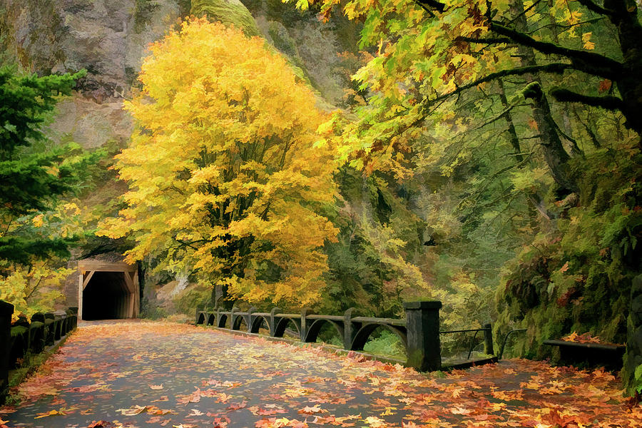 Fall Colors Oneonta Gorge Tunnel Photograph by Wes and Dotty Weber
