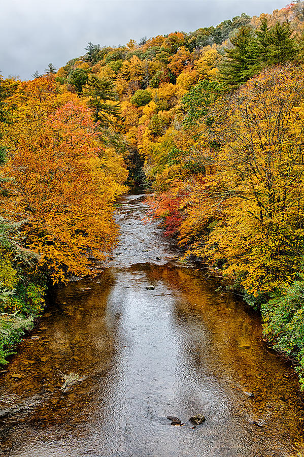 Mountain Photograph - Fall Colors Over Linville River by Dan Carmichael