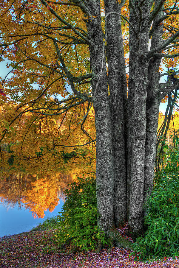 Fall Colors Reflecting in a Blue Ridge Lake Photograph by Dan Carmichael