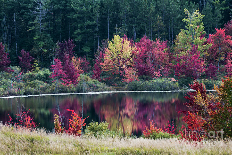 Fall Colors - Thompson Lake 7581 Photograph by Steve Somerville