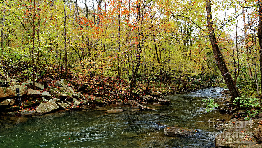 Fall Comes To Clifty Creek Photograph by Paul Mashburn
