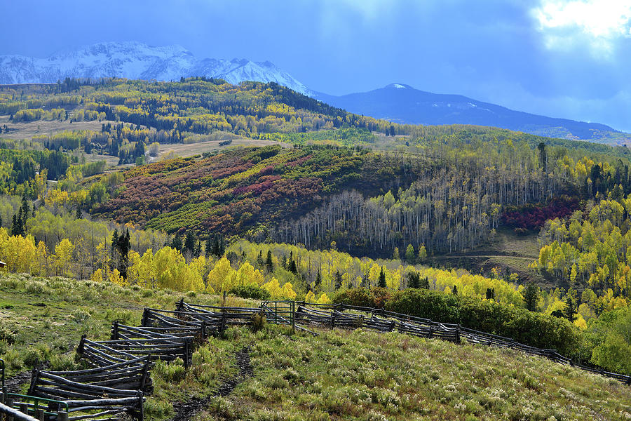 Fall Comes to Wilson Mesa Ranch Loop Photograph by Ray Mathis - Fine ...