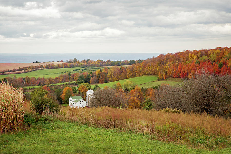 Fall Country Landscape and Oneida Lake Photograph by Brooke T Ryan