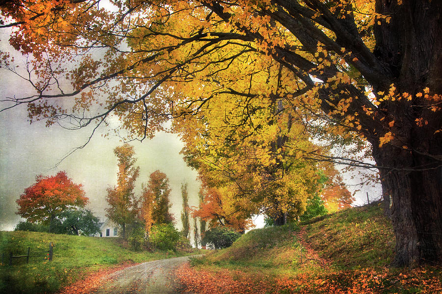 Fall Country Road in Vermont Photograph by Joann Vitali