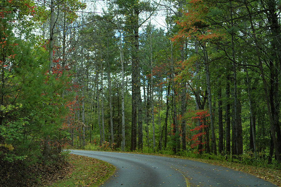 Fall Country Road Photograph by Karen Ruhl