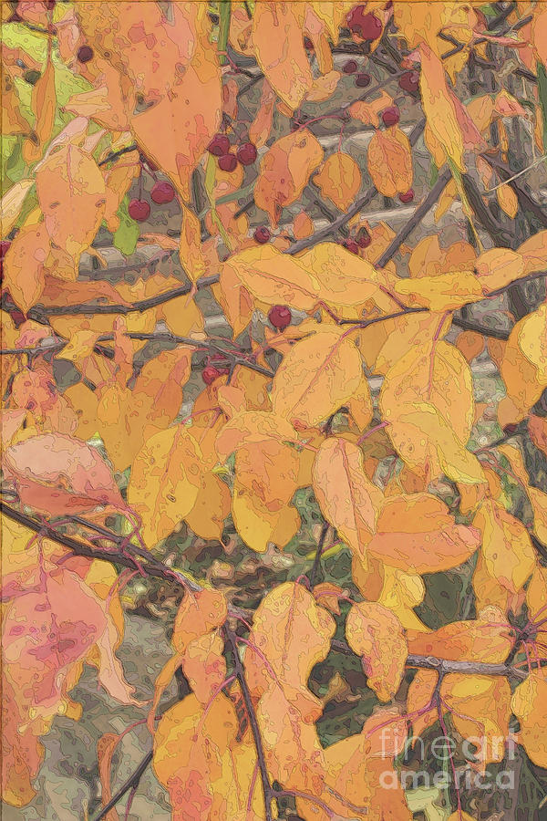 Fall Crabapple Leaves Digital Art by Donna L Munro