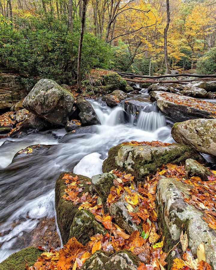 Fall Creek Photograph by Alan Raasch