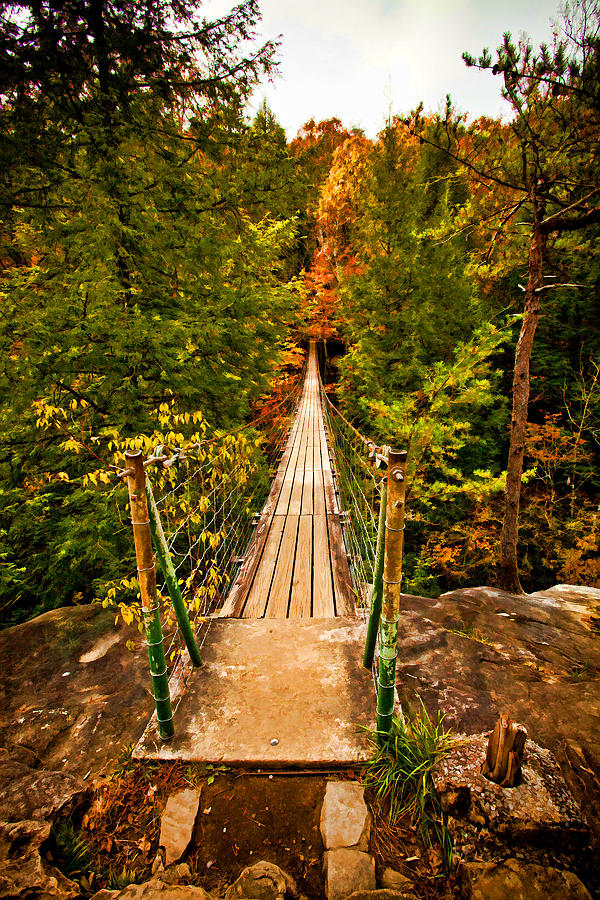 Fall Creek Falls Bridge Digital Art by Paul Bartoszek - Fine Art America