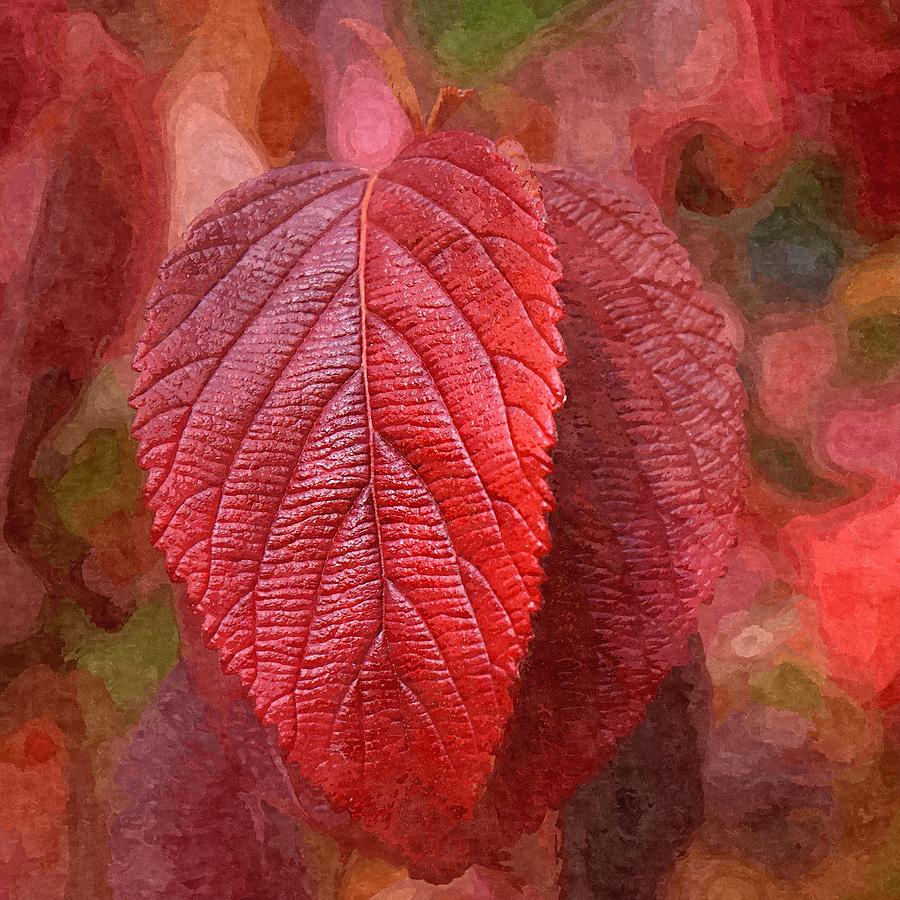 Fall Crimson Photograph by Nick Kloepping