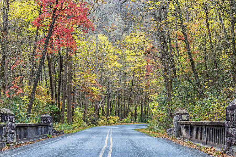 Fall Day in Pisgah National Forest Photograph by Donnie Whitaker