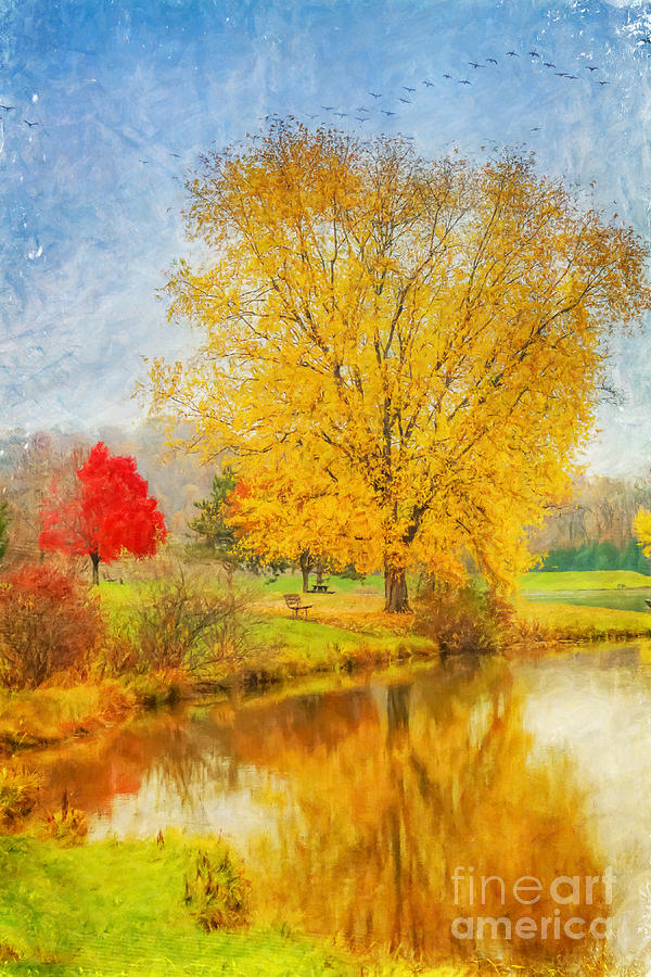 Fall Day on the Lake Digital Art by Randy Steele