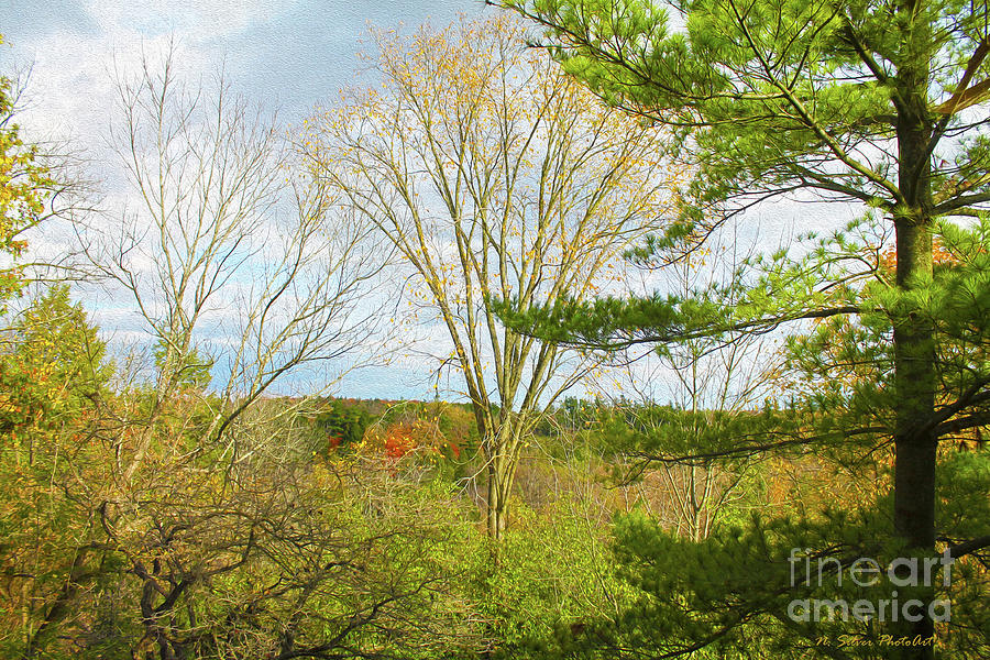 Fall Day PhotoPaint Photograph by Nina Silver