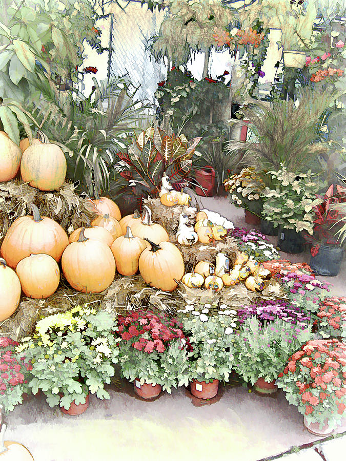 Fall Decorating At The Market Photograph by Leslie Montgomery