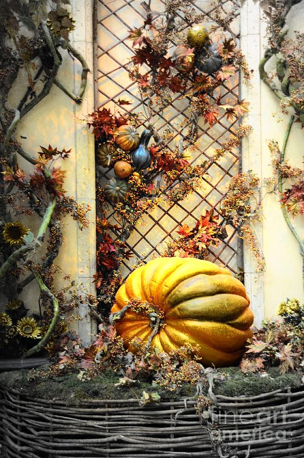 Fall Decoration Photograph
