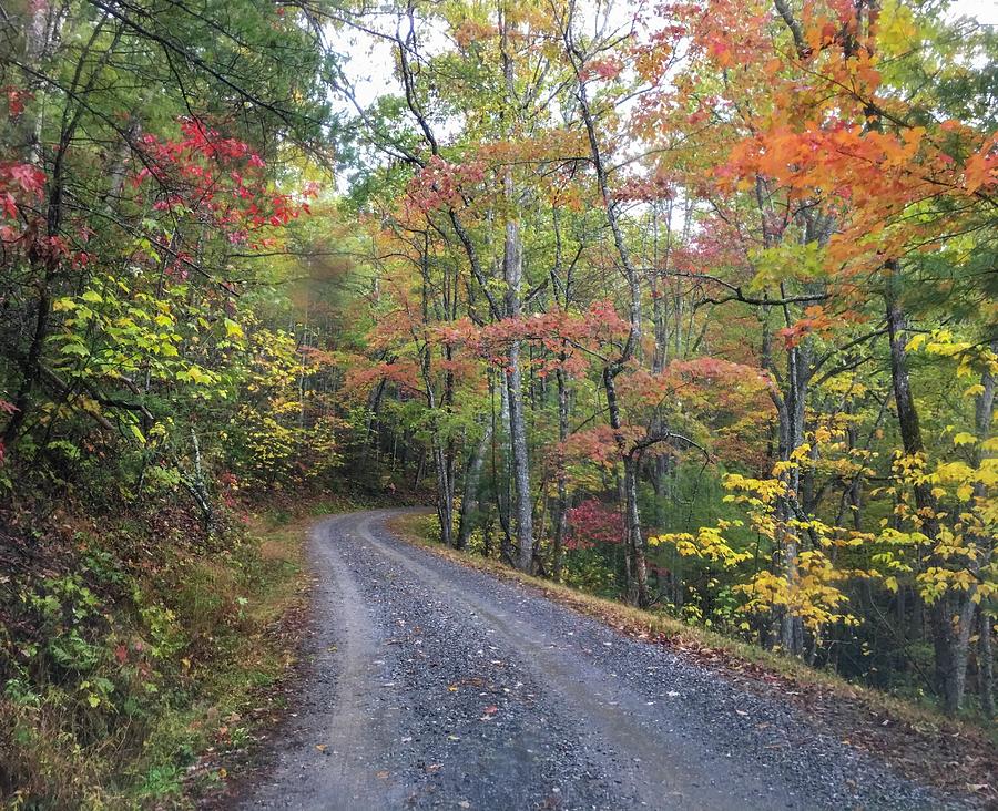 Fall Dirt Road Photograph by Teresa Solesbee