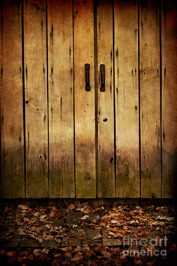 Fall Doors Photograph by Margie Hurwich