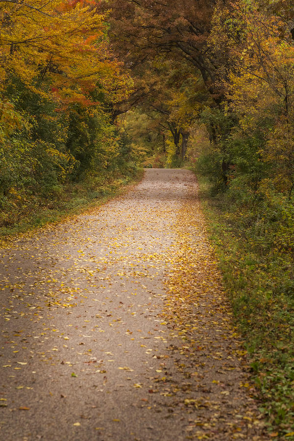 Fall Drive 2015-2 Photograph by Thomas Young