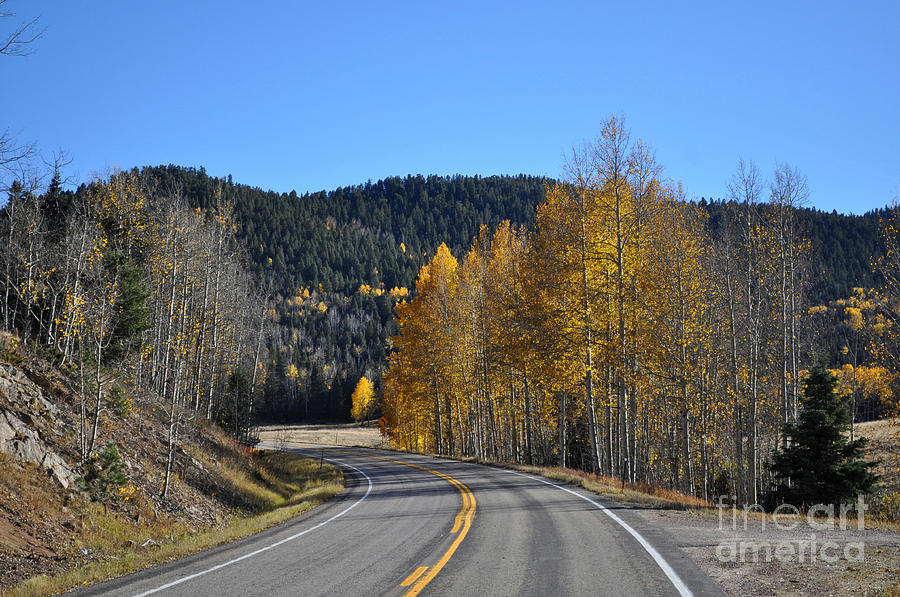 Fall Photograph - Fall Drive by Anjanette Douglas