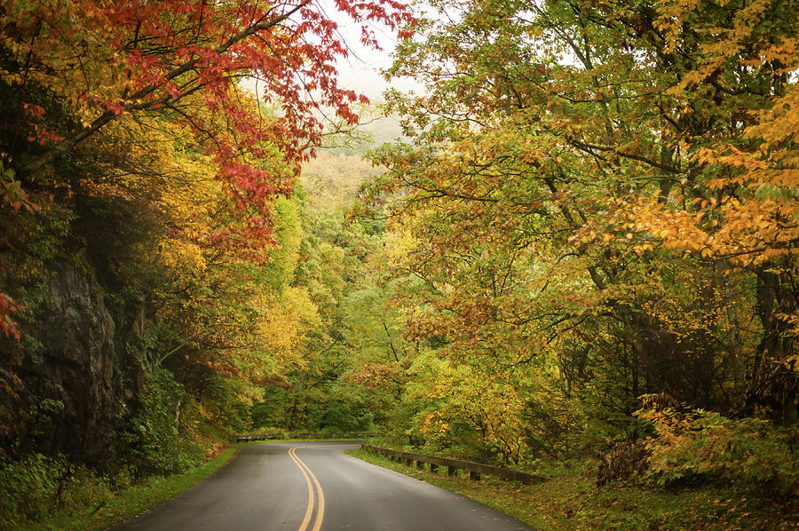 Fall Drive on The Blue Ridge Parkway Photograph by Terry DeLuco