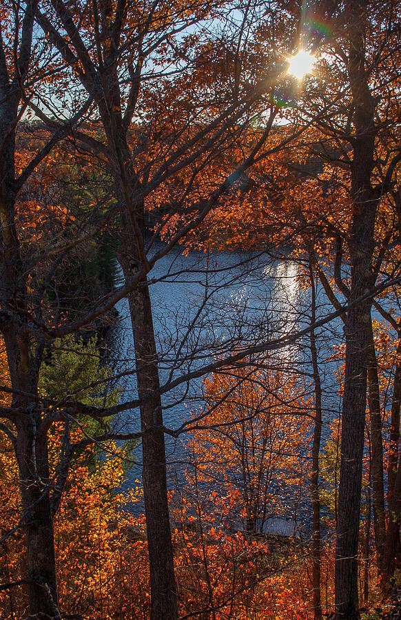 Fall Evening Sun Photograph by Margaret Sarah Pardy