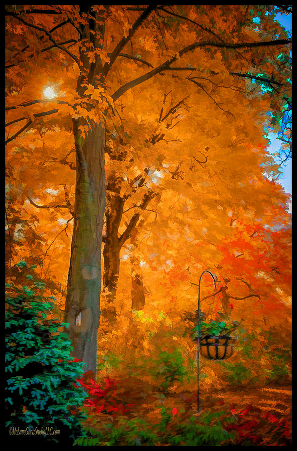 Nature Photograph - Fall Explosion by LeeAnn McLaneGoetz McLaneGoetzStudioLLCcom