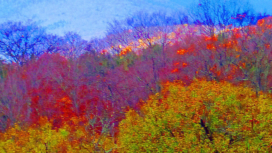 Abstract Photograph - Fall Fading by Mike Breau
