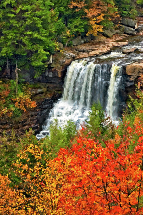Fall Falls Photograph by Steve Harrington