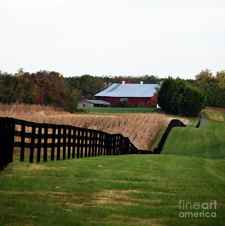 Fall Farming Photograph by Skip Willits