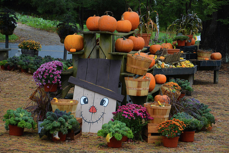 Fall Farmstand Photograph by Mike Martin