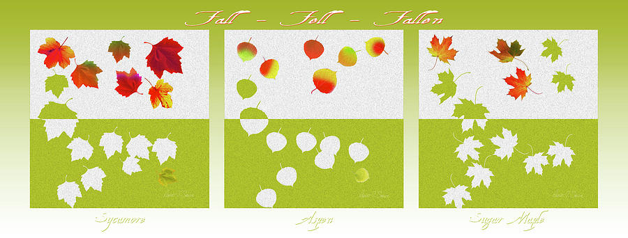 Fall Fell Fallen Triptych Poster Digital Art by Robert J Sadler