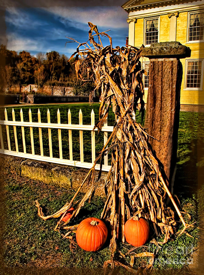 Fall Photograph - Fall Fence at Hale Farm by Joan  Minchak