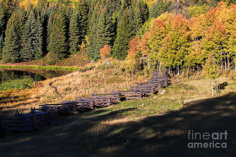 Aspen Photograph - Fall Fenceline by Jim Garrison