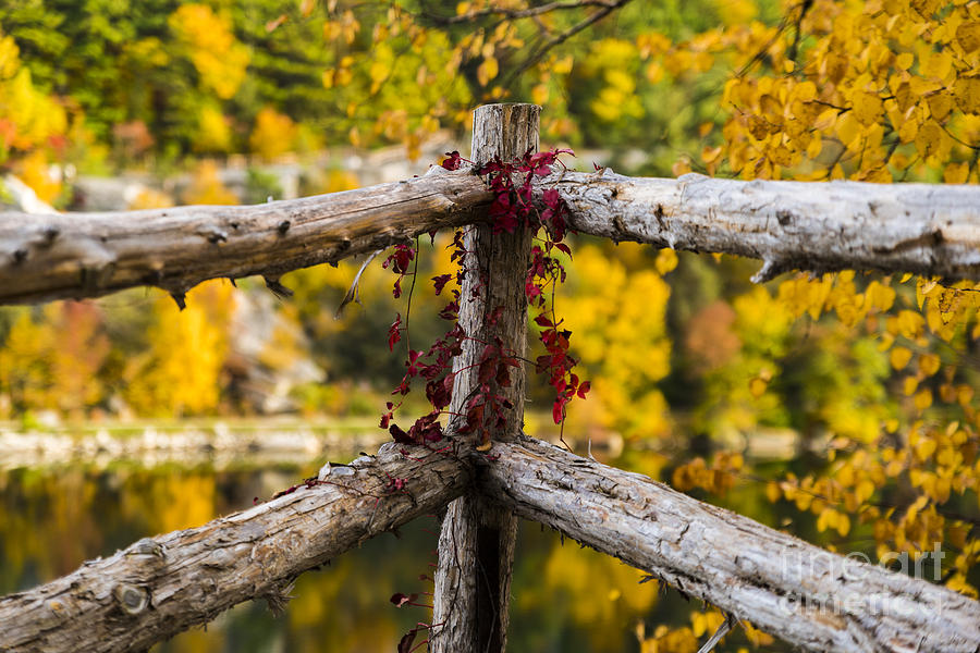 Fall Fences at Mohonk Mountain Photograph by Alissa Beth Photography