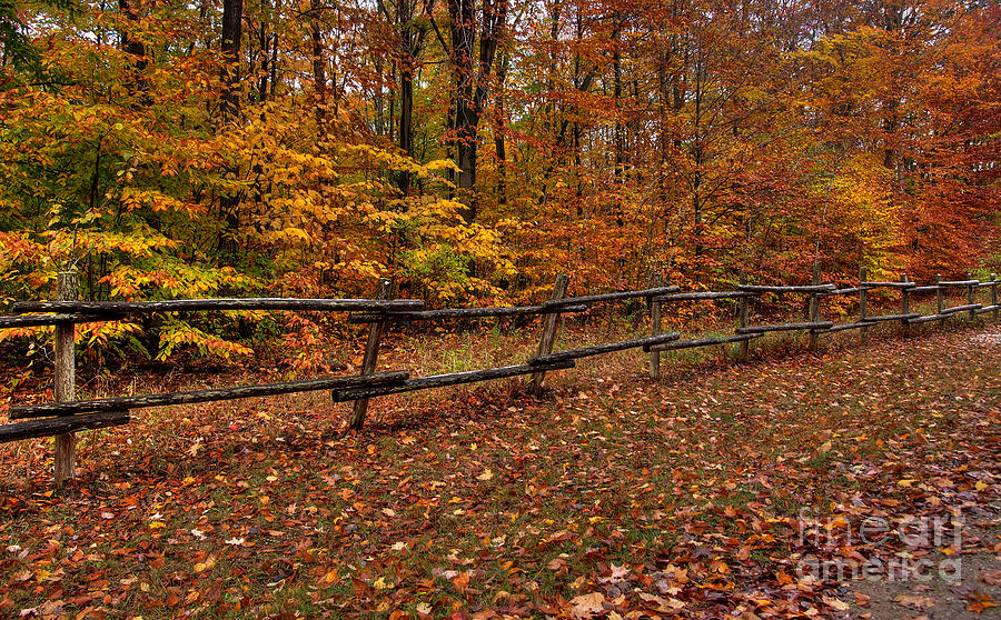 Fall Fences Photograph by Terry Doyle