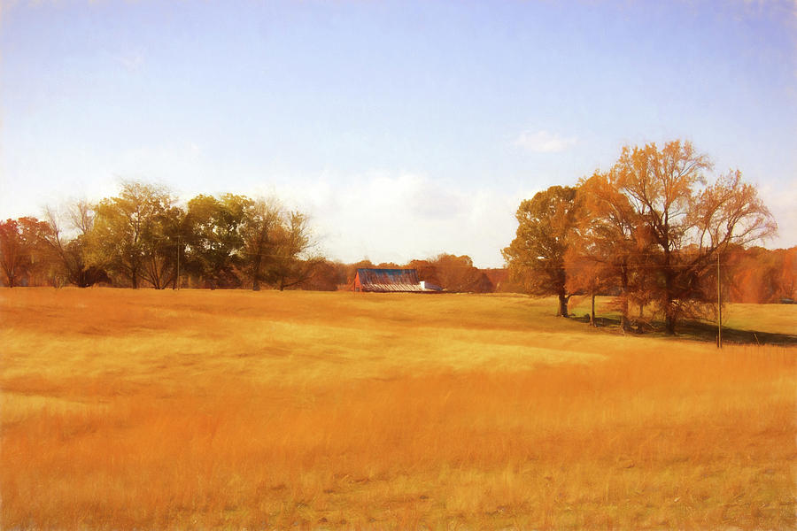 Fall Field - Rural Landscape Photograph by Barry Jones