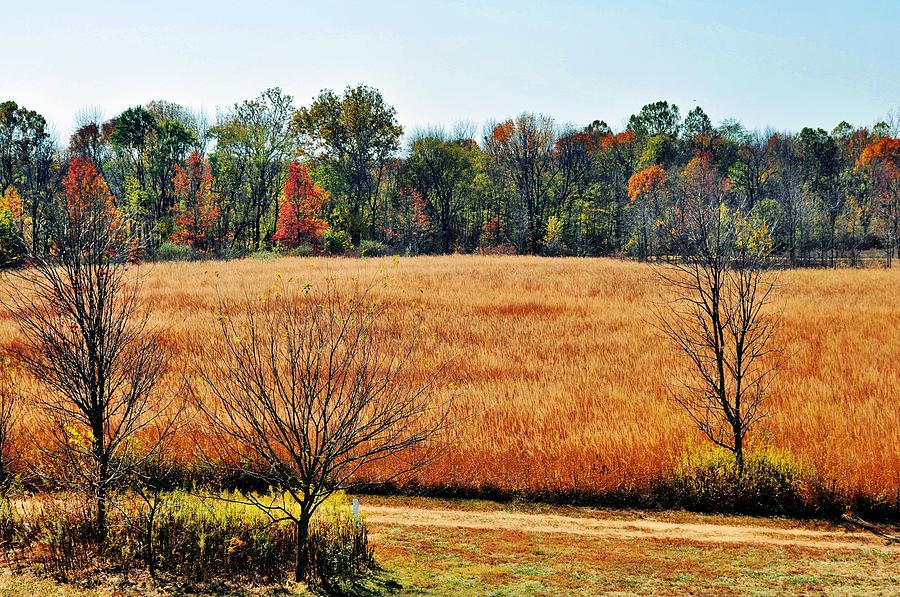 Fall Fields Photograph by Michelle McPhillips - Fine Art America