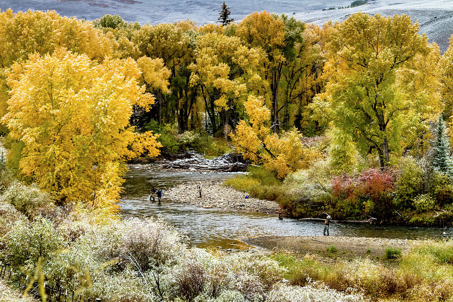 Fall Fishing in Colorado Photograph by Teri Virbickis