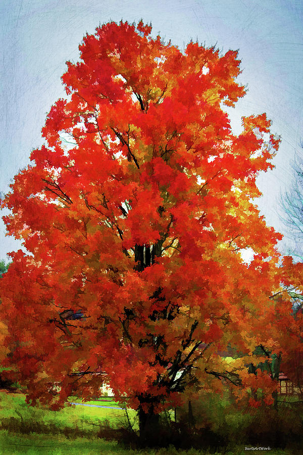 Fall Fling Tree Photograph by Roberta Byram