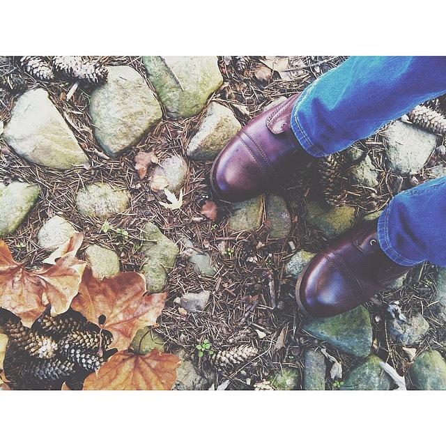 Vsco Photograph - Fall Floortrait. Eyeems Autumn Colors by Nicky Page