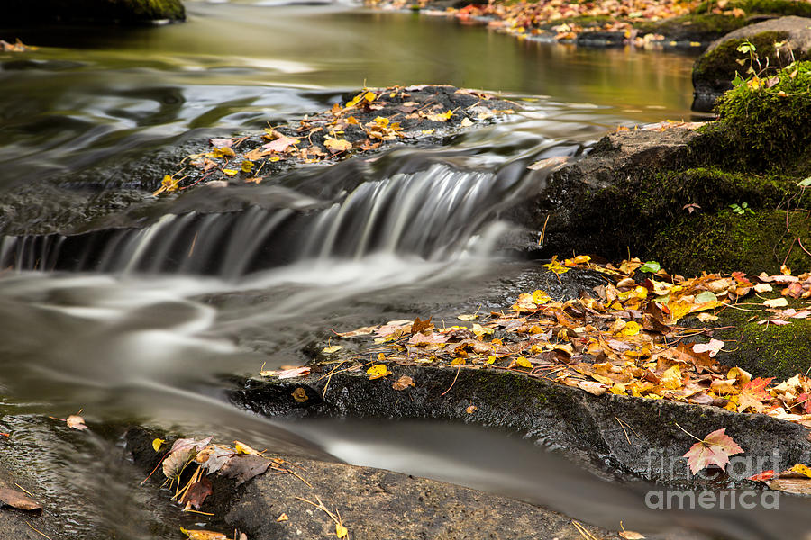 Fall Flow Photograph by Karin Pinkham