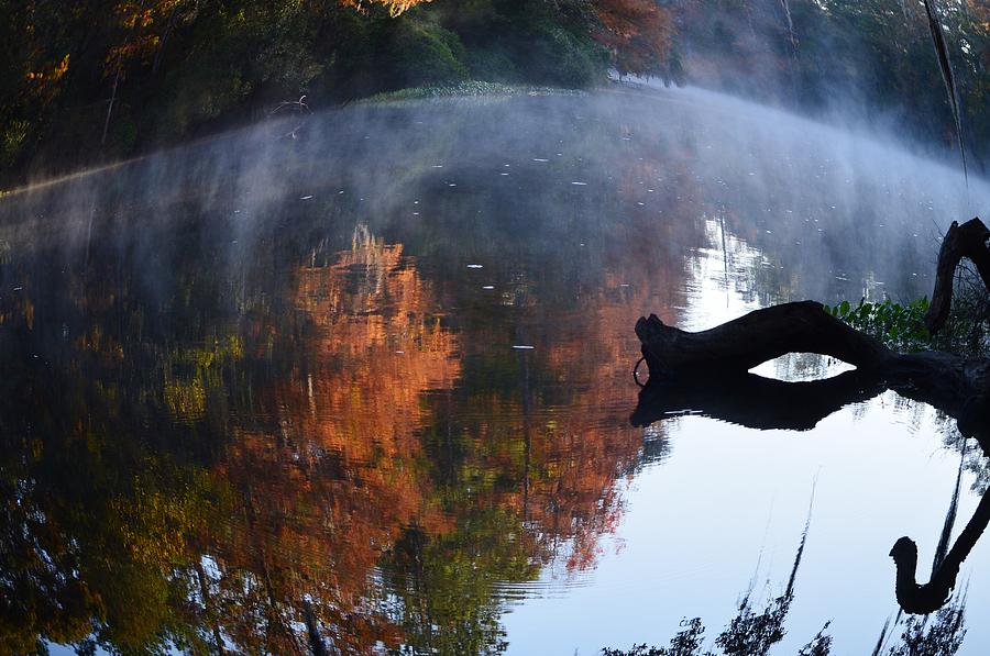Fall Fog and Fisheye Photograph by Warren Thompson
