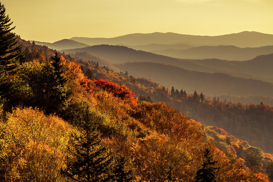 Fall Foliage in the Smoky Mountains Photograph by Teri Virbickis