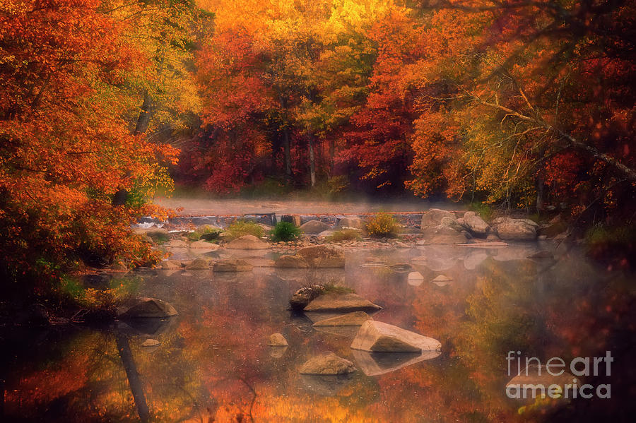 Fall Foliage And A Wisconsin River Photograph