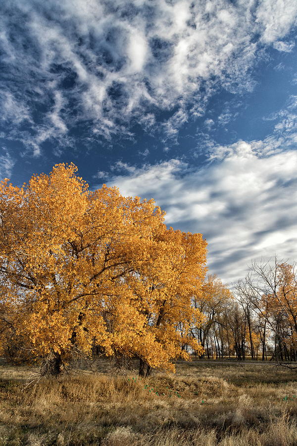 Fall Foliage and Beautiful Blue Skies Photograph by Tony Hake