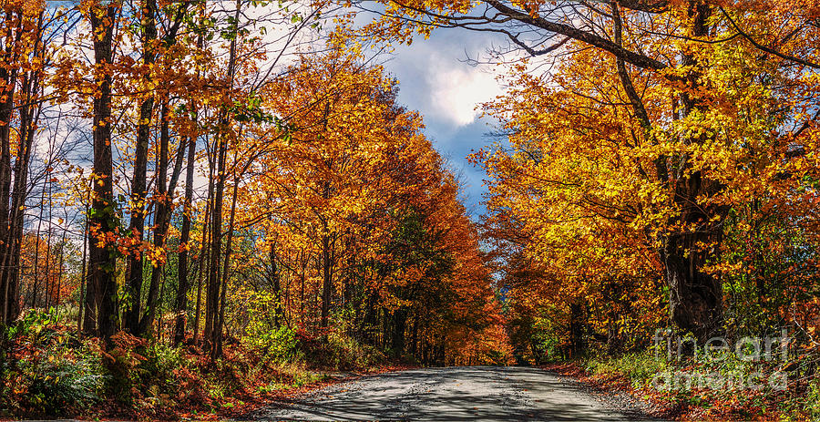 Fall Foliage and Dirt Road Photograph by Thomas Marchessault