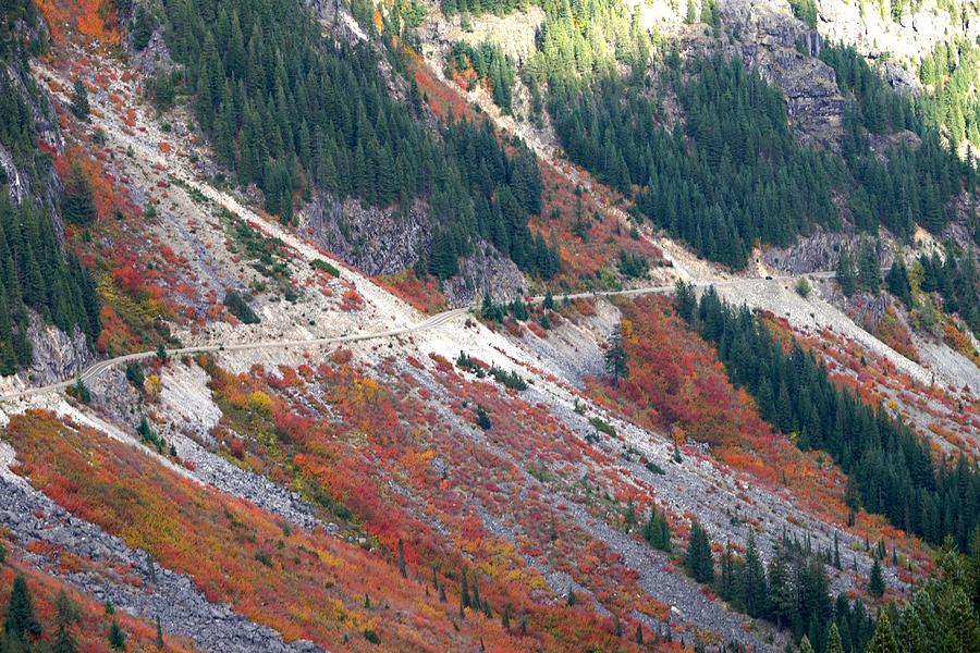Fall Foliage and Landslide Paths on the Road to Mt. Rainier Photograph