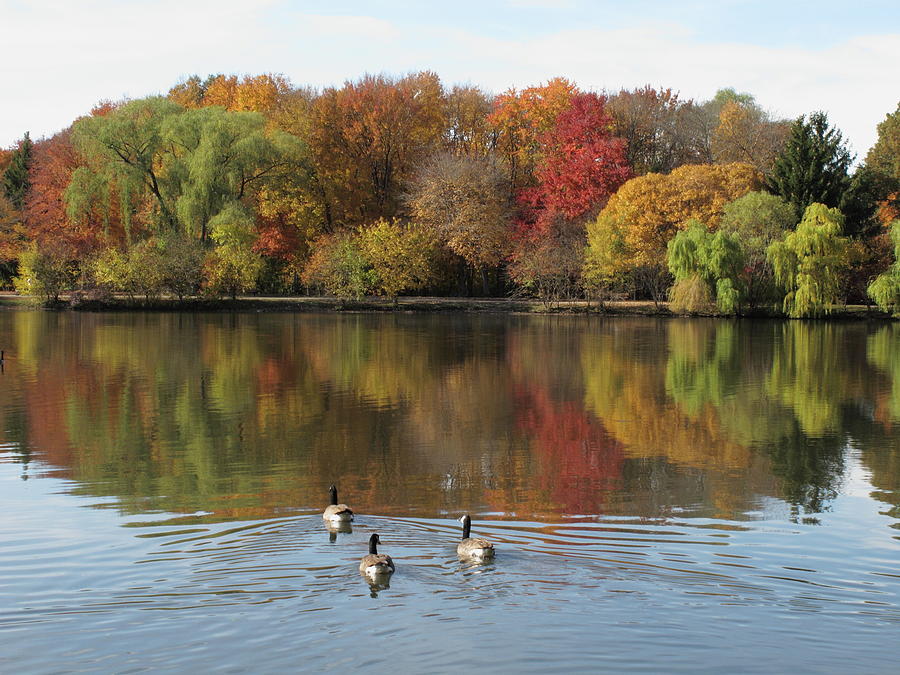 Fall Foliage and Pond Reflections Photograph by Frank Romeo